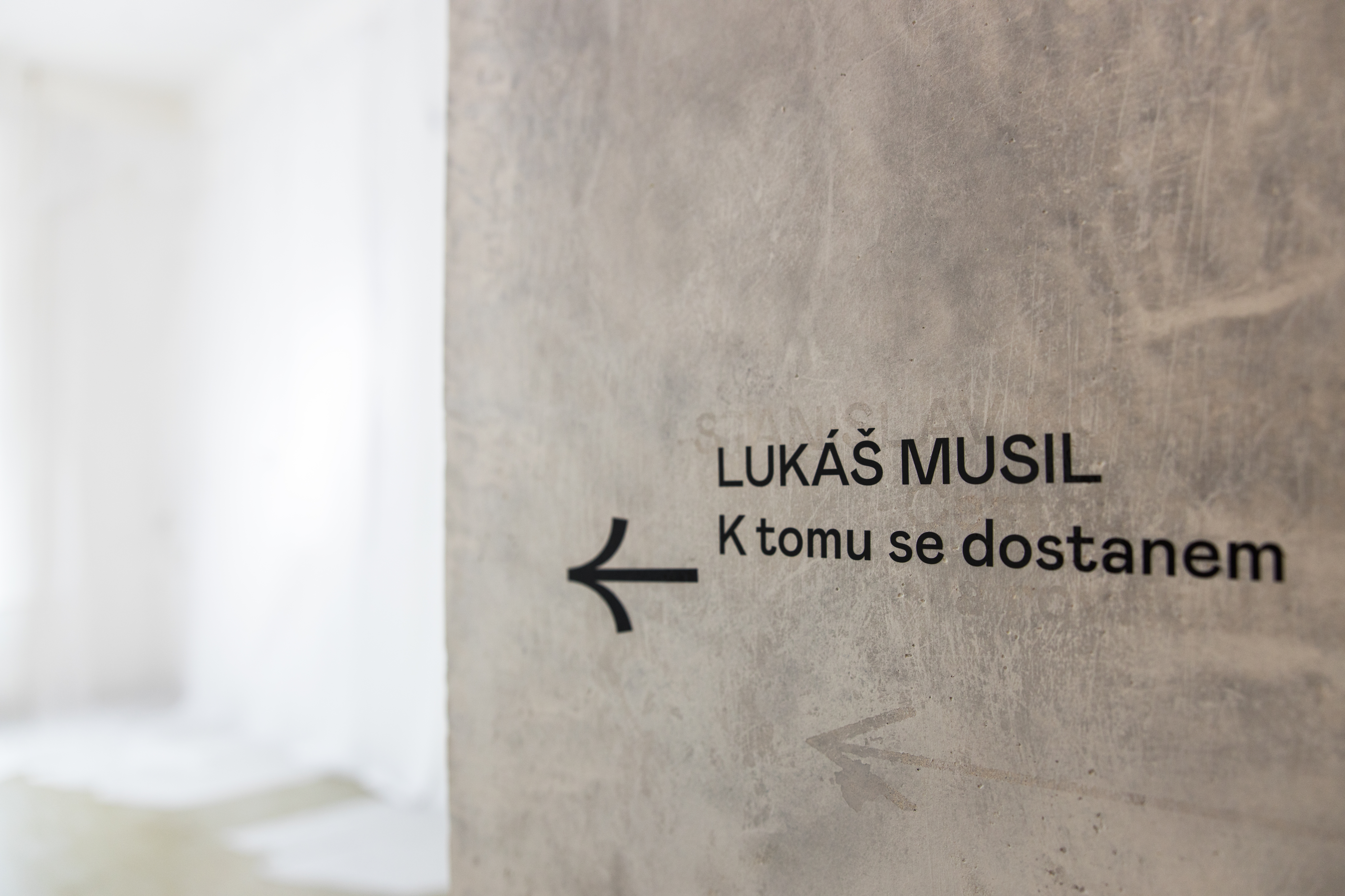 Musil Lukáš Inner horizon – (site specific for MUD – 2020)